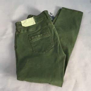 NWT Loft Pants
